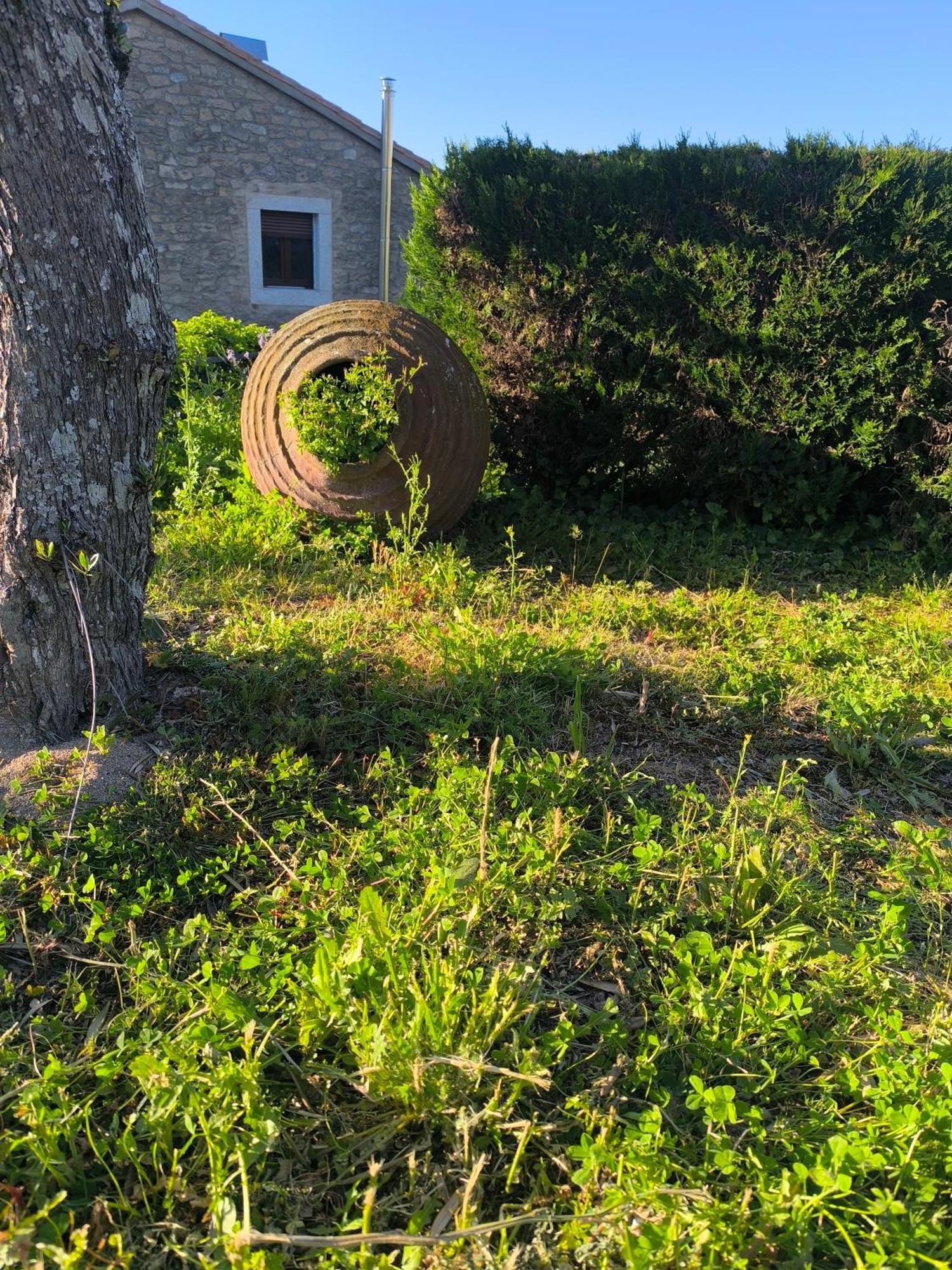 Cabanas Miraduero Aldeadávila de la Ribera 外观 照片
